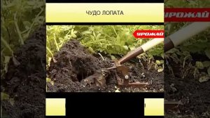 Эргономичная картофелекопалка для дачи сада и огорода «УРОЖАЙ»
