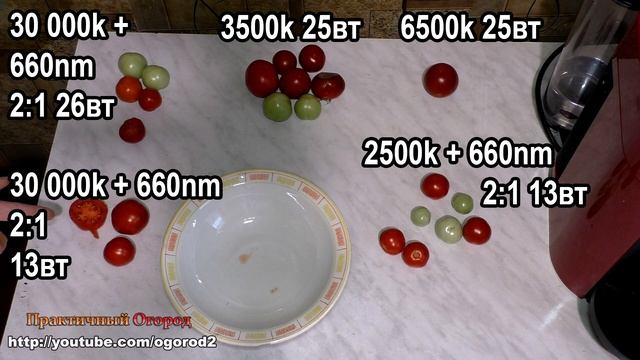 Нанометры обман! Вкус помидоров под разными лампами. смотреть онлайн