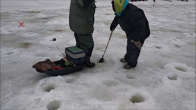 Поимки форели на активную снасть. Рыбалка на Верхнем водоёме в Клёвом месте на лосином острове смотреть онлайн
