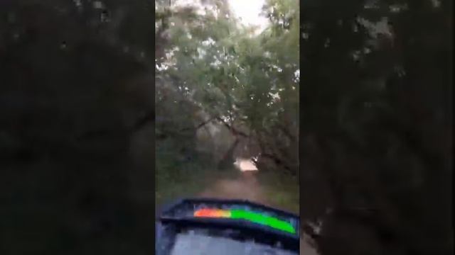 EUROSCOOTER.EU / Velocifero Beach Mad смотреть онлайн