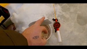 МЕЖУРА рыбалка зимой.?КАРАСЬ,КАРП,плотва.