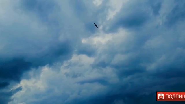 СТИХ "ХМУМОРОЕ НЕБО КАК ХМУРЫЕ ЛИЦА" . МОЙ ВОЗДУШНЫЙ ЗМЕЙ В МИСТИЧЕСКОМ НЕБЕ. смотреть онлайн