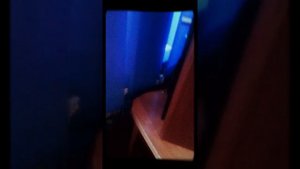 Проверяем колонки SVEN