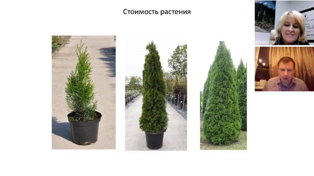Ландшафтный дизайн, благоустройство и озеленение территории участка