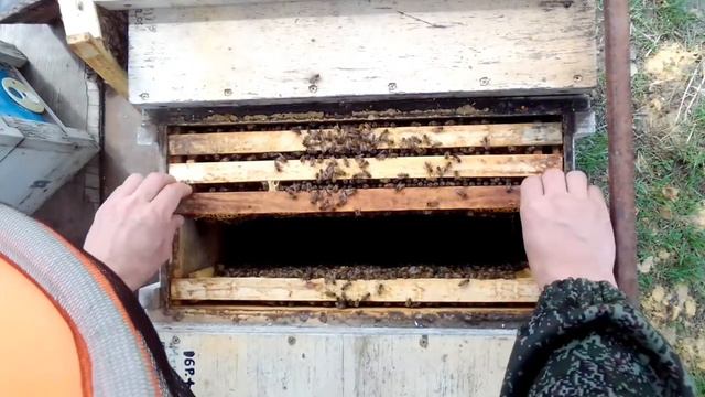 Формирую семьи воспитательницы! 22.04.2021. смотреть онлайн