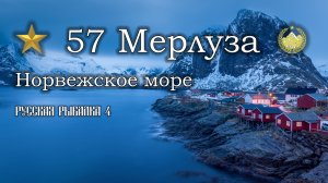 ✮ Норвежское море ✮ Мерлуза ✮