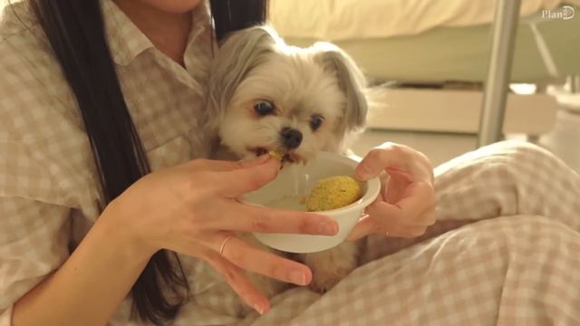 ENG│오동통한 치킨 만들고 컵누들 마라크림떡볶이 먹기. 강아지동생 돌보는 자취일상│ 쥐포전│순대국 смотреть онлайн