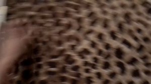 Обзор журналов.