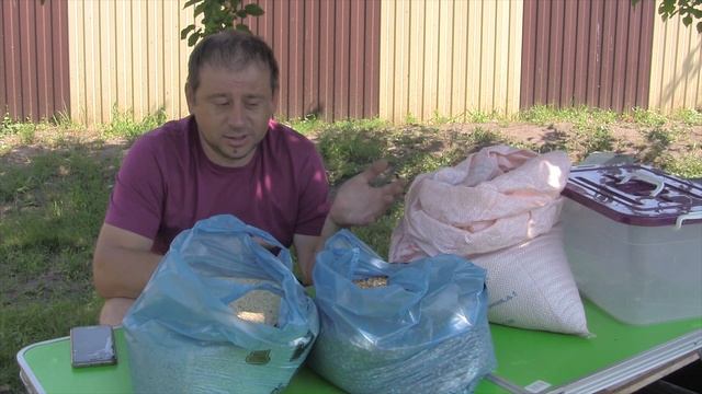 Чем кормить червей дендробена.