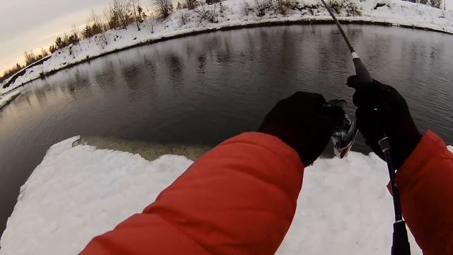 Первая рыбалка удилищем MajorCraft VIERRA VRS-802H + BONUSные ЯЗИ 12/03/2017 смотреть онлайн