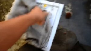 Maytronics-Dolphin pool cleaner, Dolphin Diagnostic