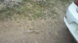 Парктроник ЛЕНТОЧНЫЙ -2 с алиэкспресс