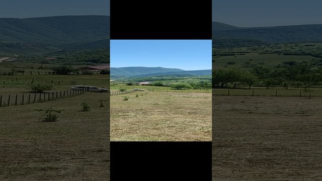 1000161589.mp4