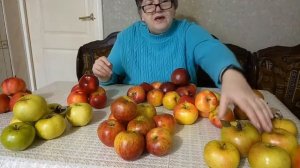 Зимние сорта яблок .Как хранятся и все о их вкусе