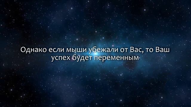 К чему снится Мышь (Сонник, Толкование снов)