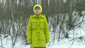 Правила пожарной безопасности в лесу