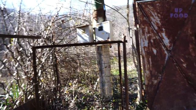 ДАЧА / ЧАСТЬ I / КУПИЛ ЗАБРОШЕННУЮ ДАЧУ, ЗАБРОШЕННЫЙ ДАЧНЫЙ УЧАСТОК смотреть онлайн