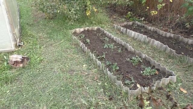 Дача 14.10.2022 смотреть онлайн