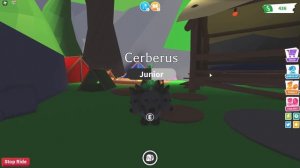 КАК БЫСТРО ЗАРАБОТАТЬ МНОГО ДЕНЕГ В АДОПТ МИ? | Adopt Me Roblox