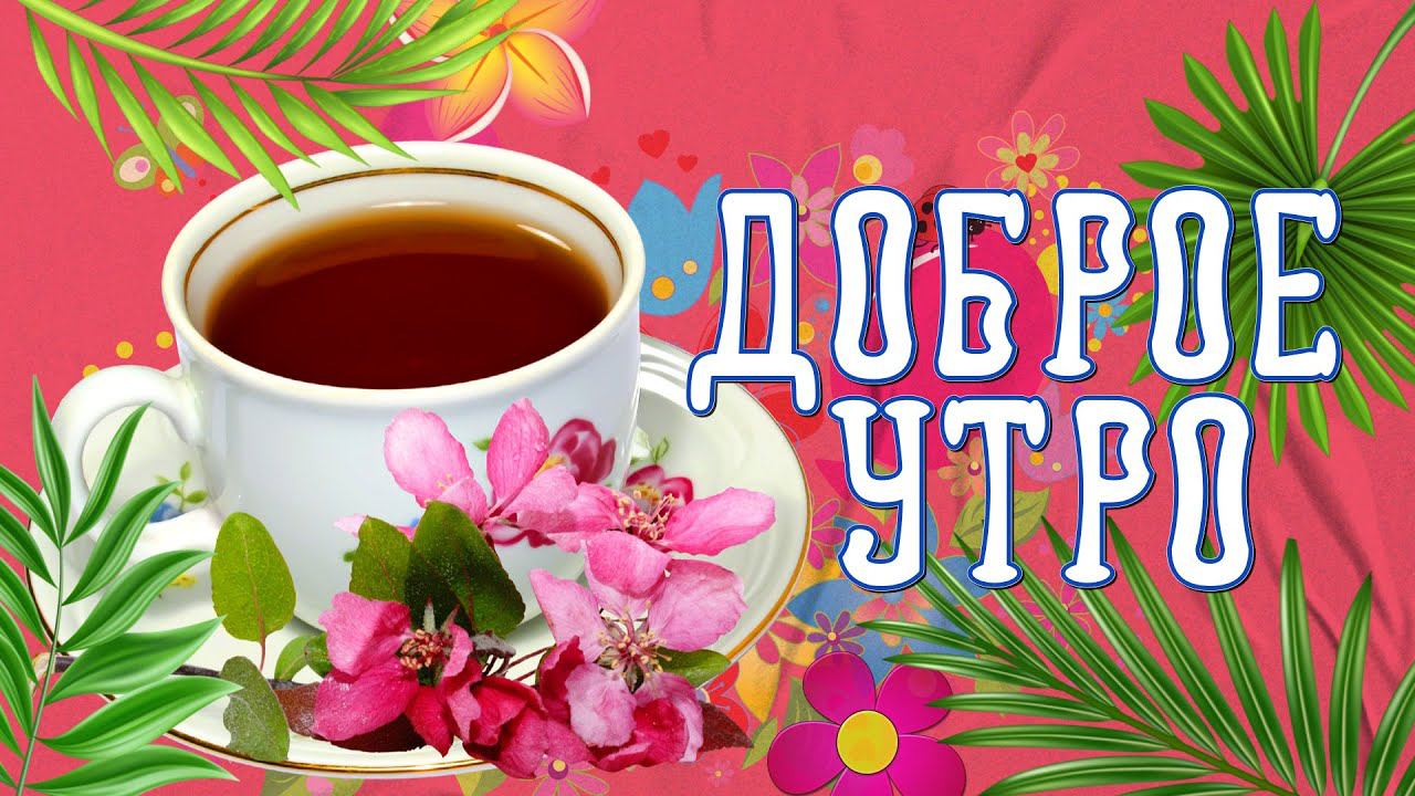 Доброе утро! Хорошего Дня ! Отличного настроения!
