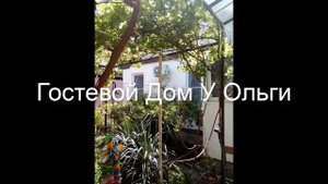 Гостевой Дом У Ольги . Россия, Геленджик обзор отеля!