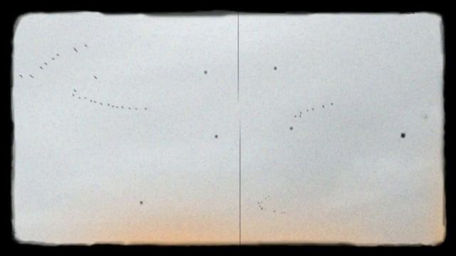 Гуси летят на юг смотреть онлайн