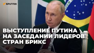 Выступление Путина на заседании лидеров стран БРИКС в ЮАР