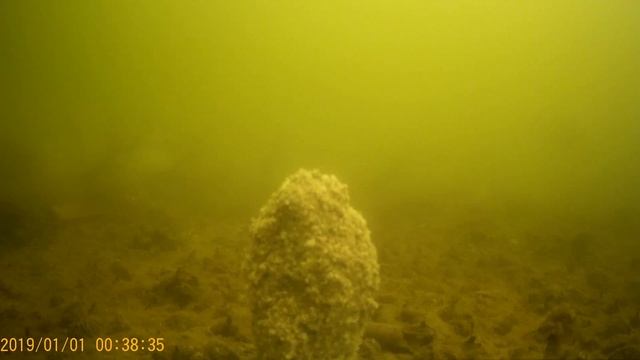 РЫБА РАЗРЫВАЕТ ПРИКОРМКУ .АНИСОВАЯ САМАЯ БЮДЖЕТНАЯ ПРИКОРМКА в работе. ПОДВОДНАЯ СЪЕМКА. смотреть онлайн