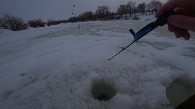 ОКУНЬ НА МОРМЫШКУ! РЫБАЛКА В ЯНВАРЕ 2022. Окунь в глухозимье на мормышку. Безмотылка. Зимняя рыбалк