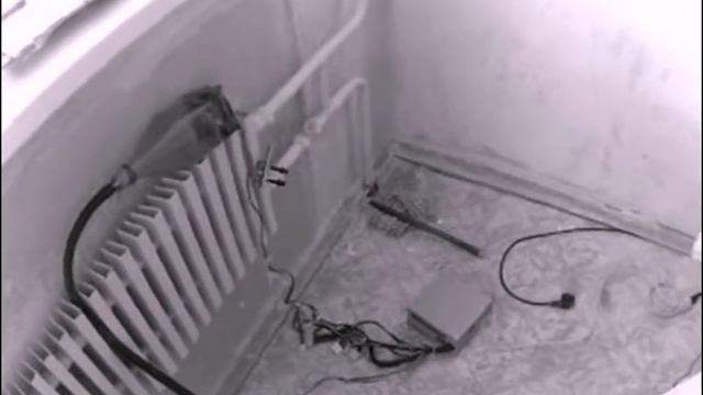 Дымогенератор в квартире. смотреть онлайн