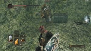 Dark Souls II: Scholar of the First Sin #13 - Босс СКОРПИОН НАЖКА. ТЕМНОЛЕСЬЕ