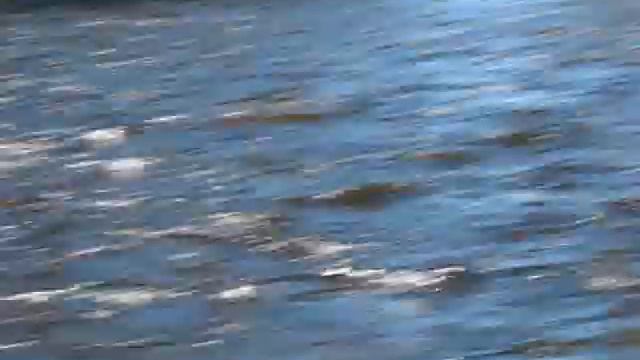 река Западная Двина смотреть онлайн