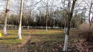 ОБЗОР ст.РАЕВСКАЯ КРАСНОДАрСКИЙ КРАЙ.Дорога до станицы, окраина -ЦЕНТР, ШКОЛА...