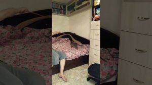 Как успокоить кошку на ночь =)