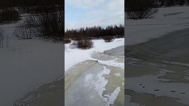 УСВЯЧА ЗИМОЙ... смотреть онлайн