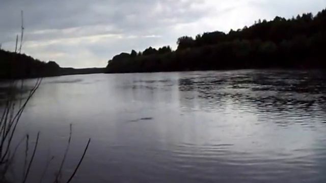 Рыбалка с Бородой...Охота на хищника! смотреть онлайн