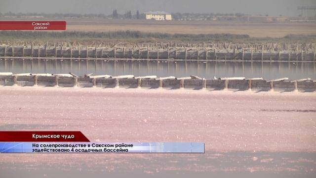 Уникальную розовую соль добывают в Сакском районе смотреть онлайн