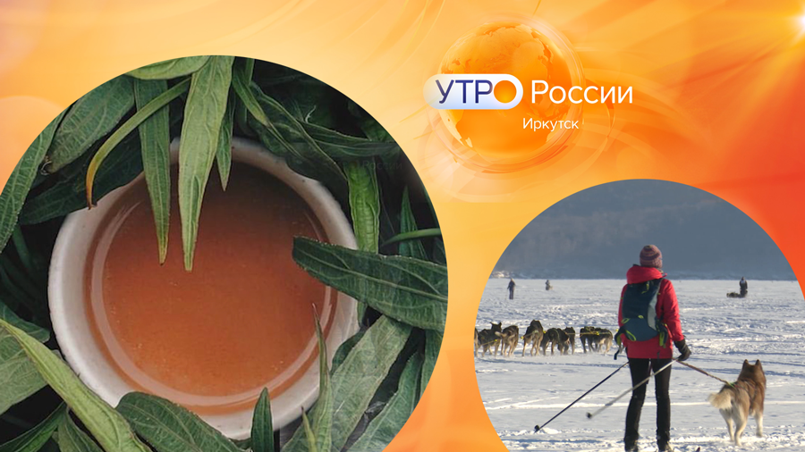 Фитотерапевт и гонка на собачьих упряжках / Утро России. Иркутск 07.02.2023