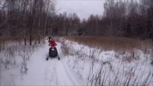 Прокат снегоходов Стелс Капитан Лонг, Ирбис СФ - 150. г Киржач.
