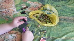 Поделки из  желудей, подробный рассказ.