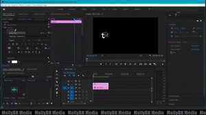 Easy Typewriter Effect In Premiere Pro 2020