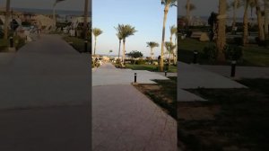 Amwaj Oyoun Resort&Spa (Шарм-эль-Шейх), октябрь 2019г