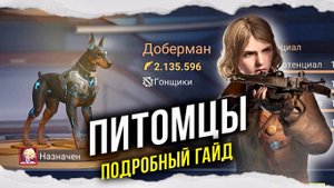 NEW: Питомцы - Полный разбор - State of Survival