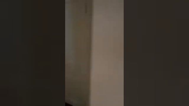 WhatsApp Video 2020 07 13 at 17 14 06 смотреть онлайн