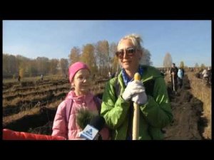 Дари добро: посади дерево в Новокузнецке. Сюжет Ново ТВ