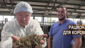 Чем кормят коров? Рацион для молочного КРС. Кормовая база хозяйства. Ферма Боровецкий станъ.