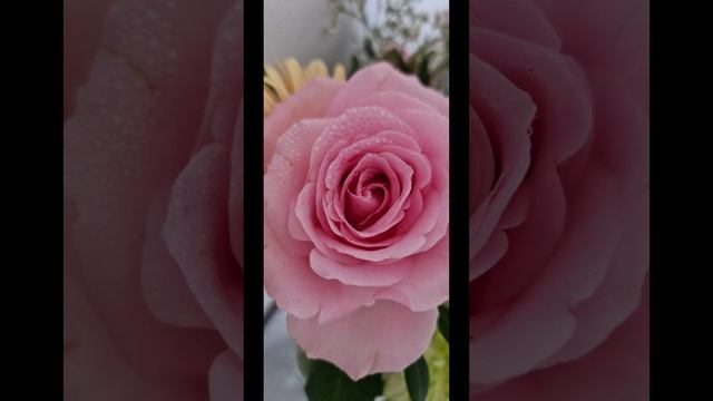 1. Сказка. Сказки на ночь. Кракозяблики. Автор: Анастасия Клименок. @666Anastasia смотреть онлайн