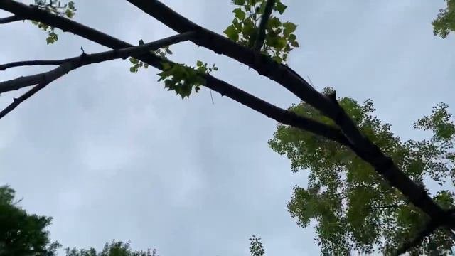 Водопадный ручей город Новокузнецк / Чертов мост Новокузнецк / Красивое место для отдыха Новокузнец