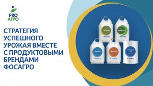 Стратегия успешного урожая вместе с продуктовыми брендами ФосАгро