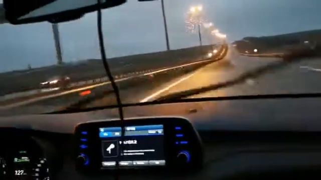 Массандра длинношрстная чихуахуа едет домой в Москву  Кастропуло Крым